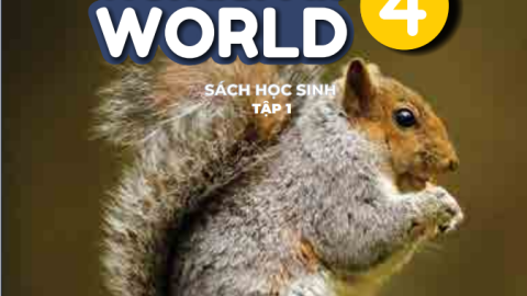 Sách giáo khoa Tiếng Anh Lớp 4 - Tập 1 - Wonderful World